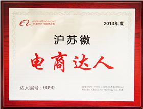 森垚被评为2013年度沪苏徽电商达人