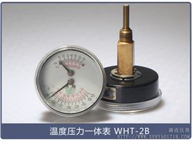 温度压力一体表