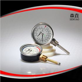 温度压力一体表 温度压力一体表