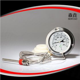 双金属温度计