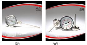 双金属温度计 双金属温度计