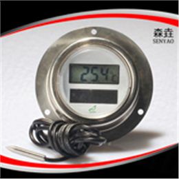 后法兰太阳能电子温度计 型号：DST2002S