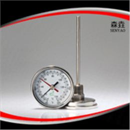留点温度计 型号：T300MAX