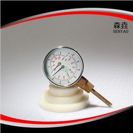温度压力一体表  型号：WHT-13I