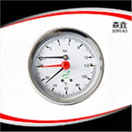 温度压力一体表  型号：WHT-20
