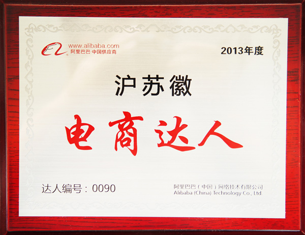 森垚被评为2013年度沪苏徽电商达人