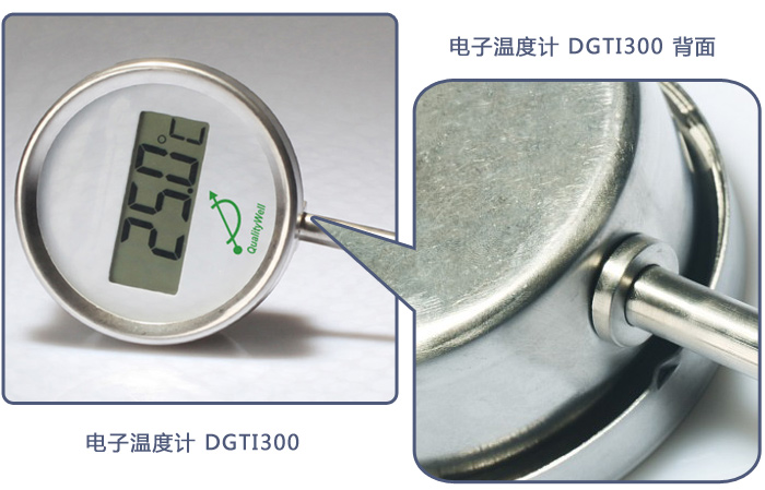电子温度计DGTI300