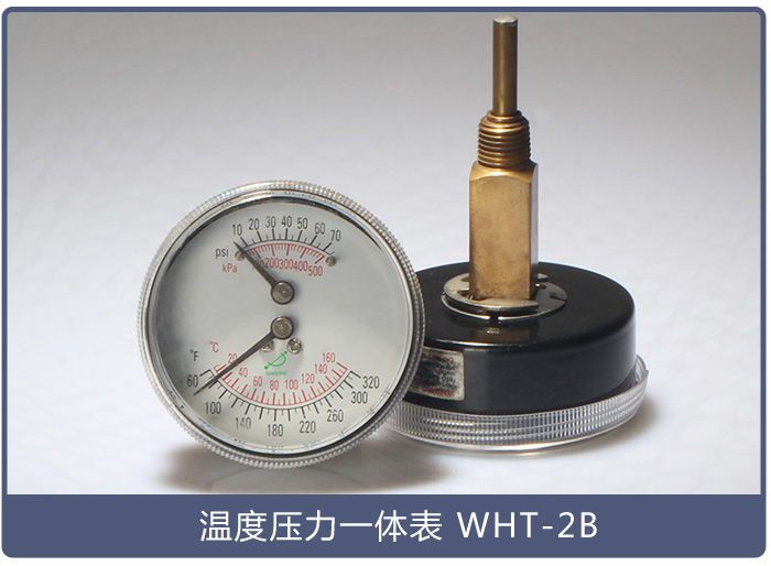 温度压力一体表WHT-2B