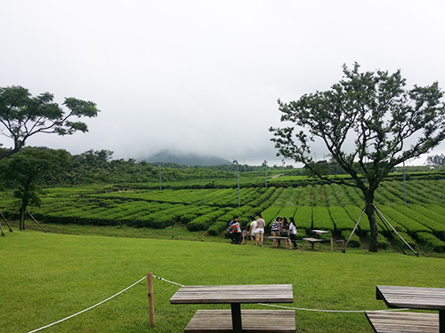 温度计帮你泡一壶好茶