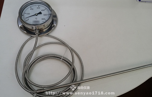 650mm感温管压力式温度计 (2).jpg