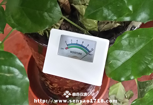 土壤湿度计的应用之幸福树1.jpg