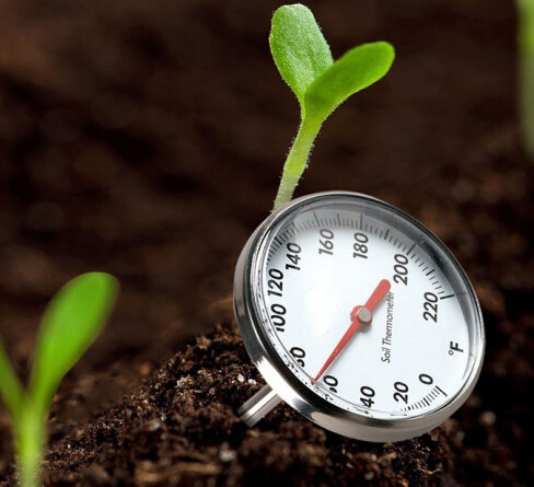 土壤温度对植物的影响.jpg