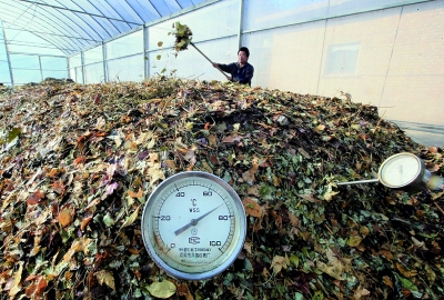 你对堆肥温度计了解多少？