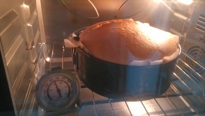 使用烤箱温度计注意哪些问题