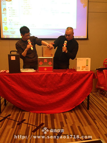 2017年森垚仪表春节晚会 (2).jpg