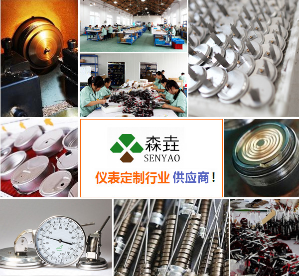 全不锈钢温度计主要应用于哪些行业？