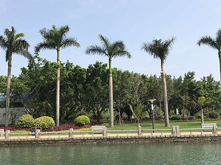 森垚仪表工会活动-厦门 (3).jpg