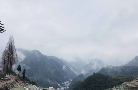 森垚仪表临安行-2019年春节天目山登高 (2).jpg