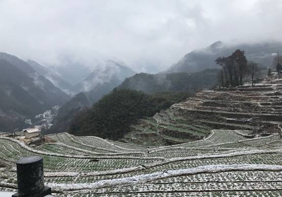 森垚仪表临安行-2019年春节天目山登高 (3).jpg