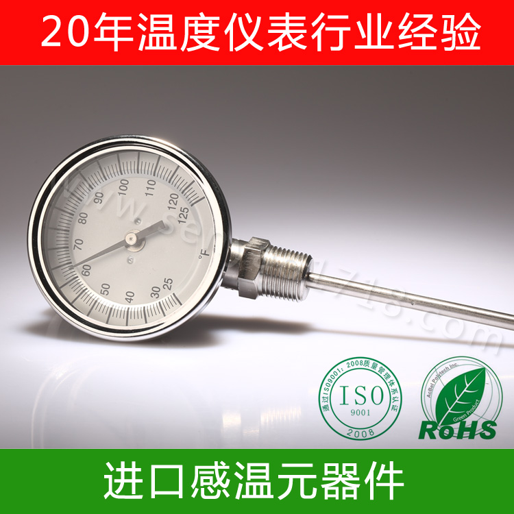 双金属温度计 双金属温度计