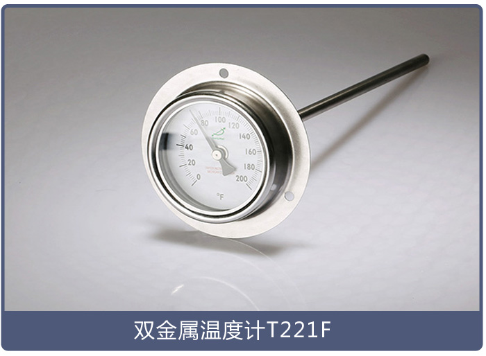 法兰式温度计