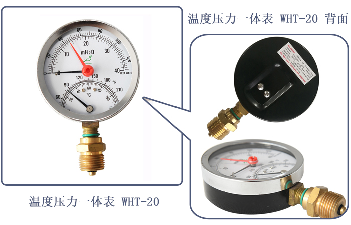 温度压力一体表  型号：WHT-20