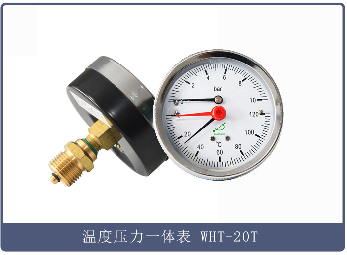 温度压力一体表  型号：WHT-20