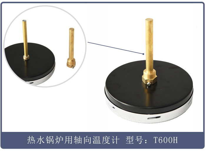 热水锅炉用轴向温度计T600H (2).jpg