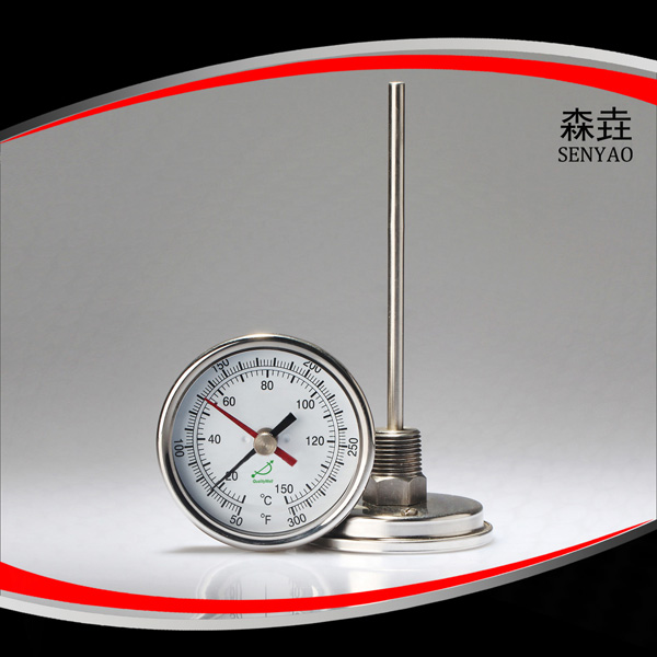 双金属留点式温度计