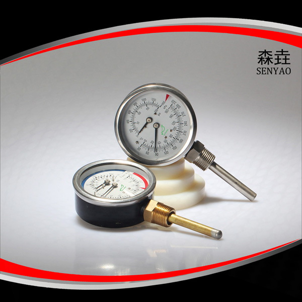 温度压力一体表 温度压力一体表
