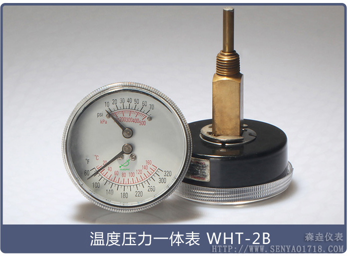 温度压力一体表