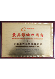 荣获“最具影响力网商”称号
