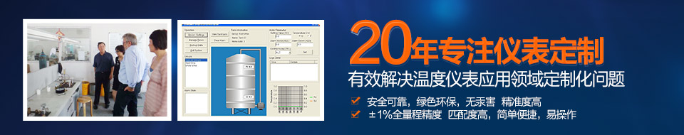 森垚20年专注仪表定制