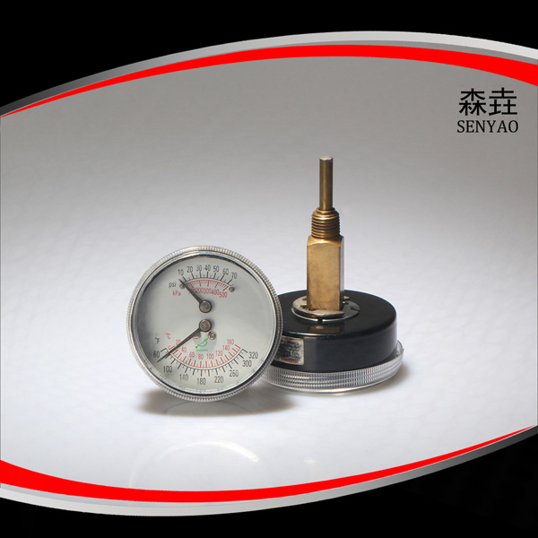温度压力一体表 型号:WHT-2B 温度压力一体表 型号:WHT-2B