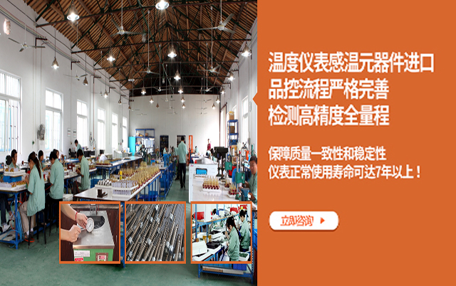 温度仪表感温元器件进口  检测高精度全量程