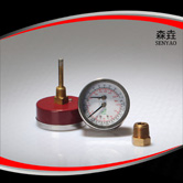 温度压力一体表 型号：WHT-5