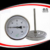 欧洲样式热水炉温度计 型号：T400EH